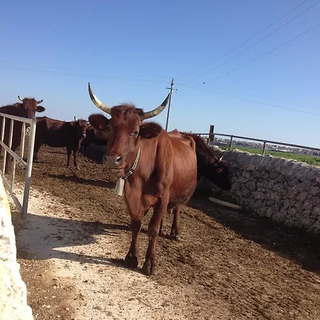 Casa Vacanze Agriturismo Cilone * Ragusa