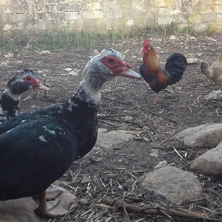 Casa Vacanze Agriturismo Cilone Landsted Ragusa